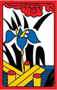 5땡