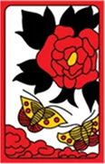 6땡
